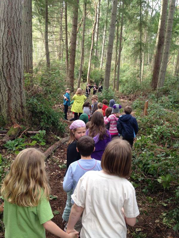 SchoolForestTrails