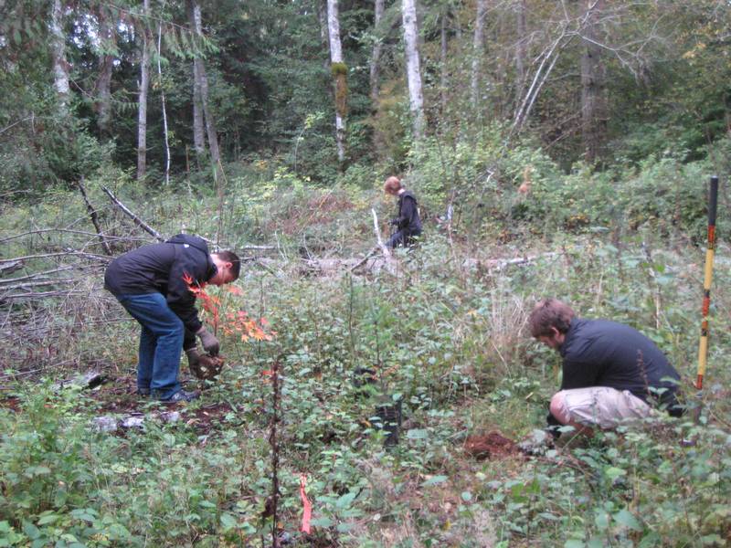 StudentReforestation